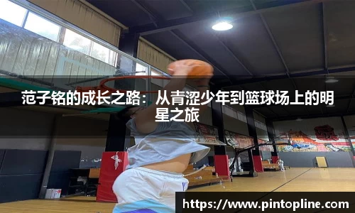 芒果体育登录入口