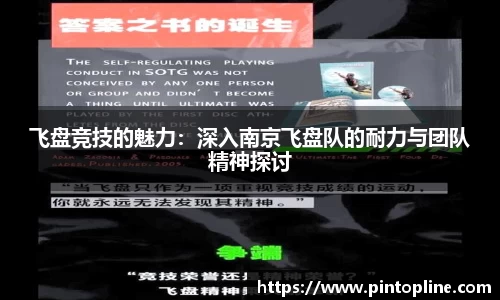 飞盘竞技的魅力：深入南京飞盘队的耐力与团队精神探讨